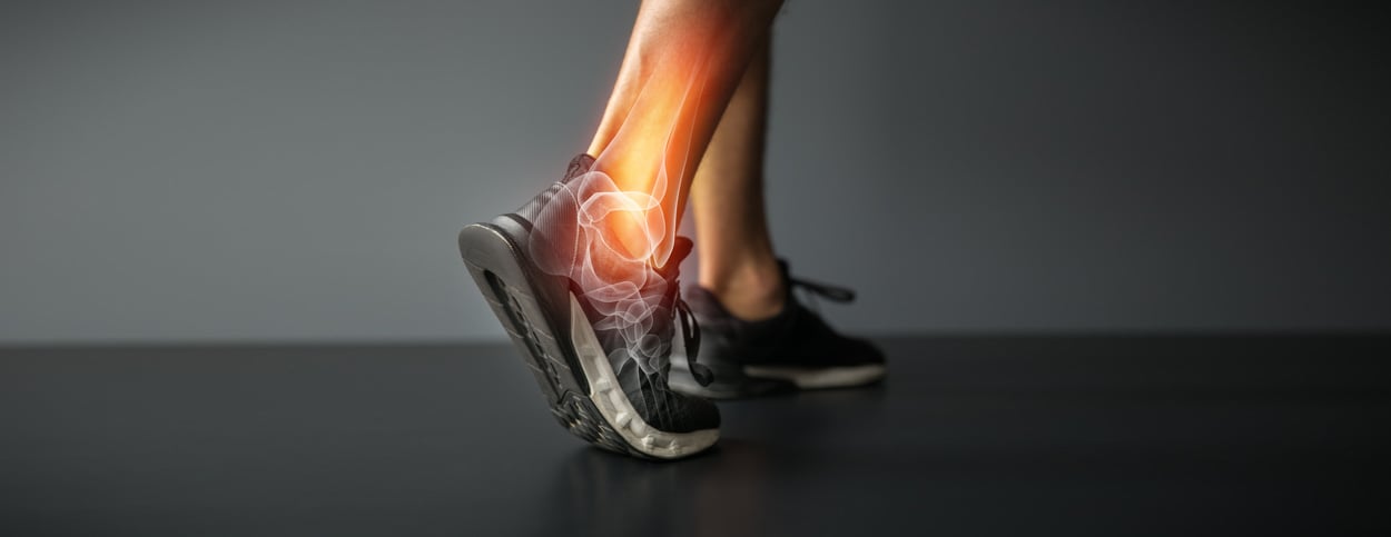 ankle